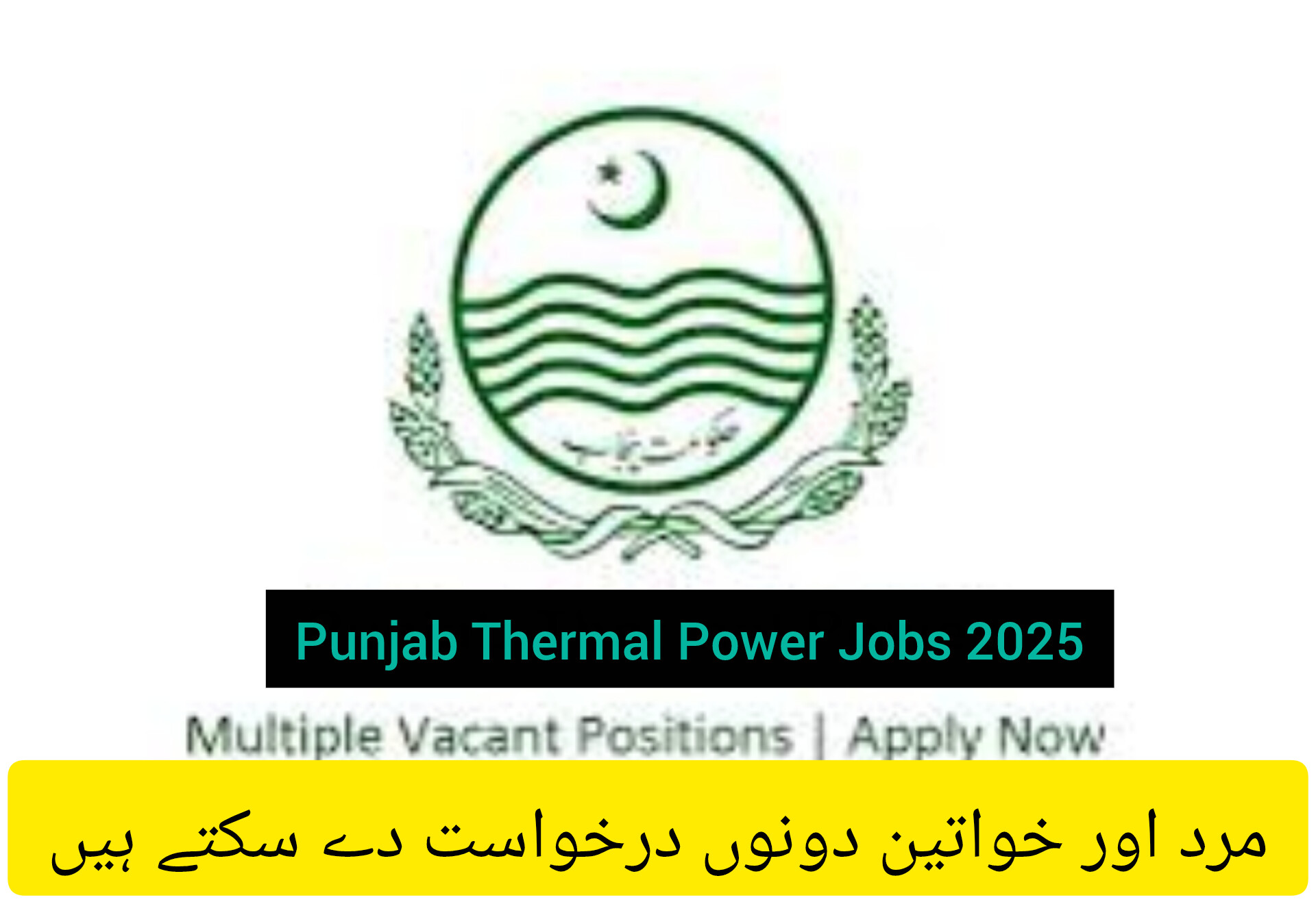 Punjab Thermal Power Jobs 2025 Online Apply