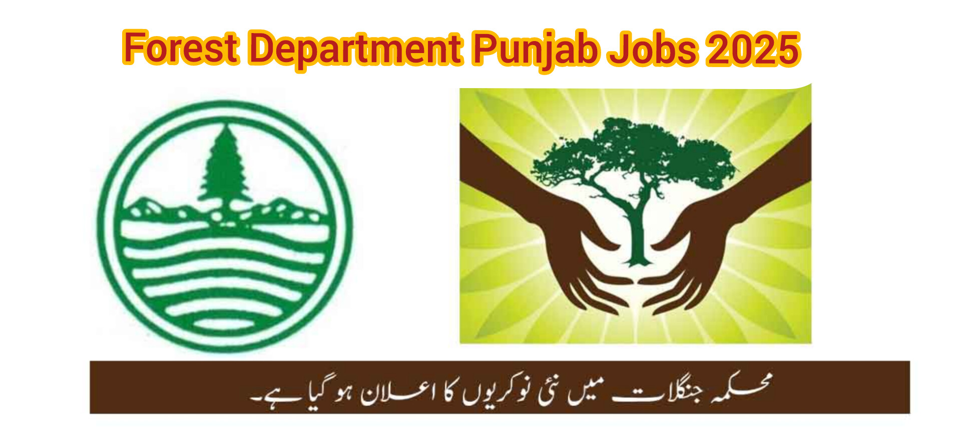 Forest Department Punjab Jobs 2025 Online Apply